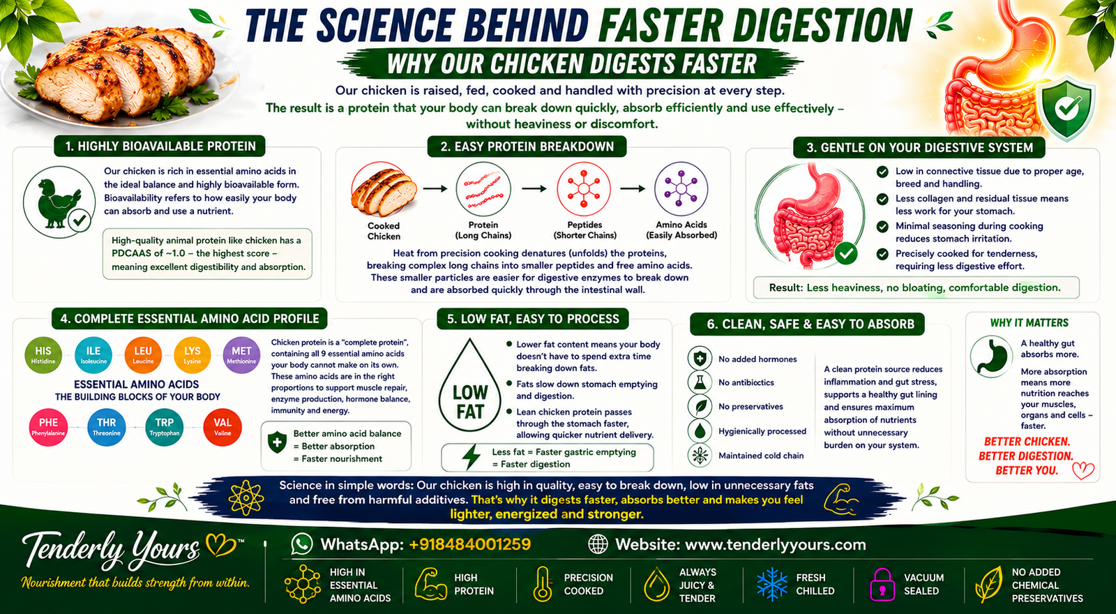 The science behind faster chicken digestion for better nutrient absorption